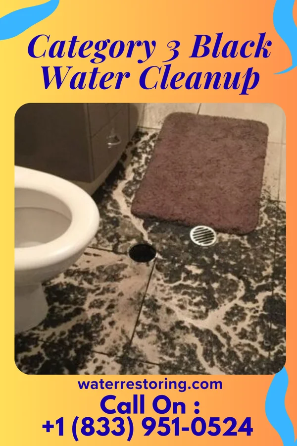 Category 3 Black Water Cleanup in Ford, KS